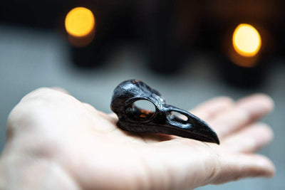 Pendant raven skull