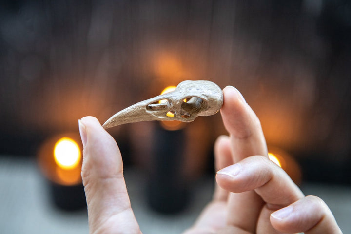 Oak raven skull, pendant for Altar Design
